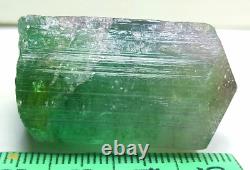 192 Carats Beautiful Natural Bi-Color Tourmaline Crystal Very Nice Quality Piece