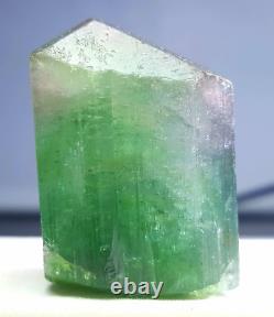 192 Carats Beautiful Natural Bi-Color Tourmaline Crystal Very Nice Quality Piece