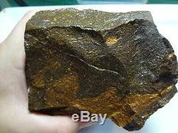 1.304 Kilogram Natural Eromanga Boulder Opal Rough Specimen Piece lapidary Hobby