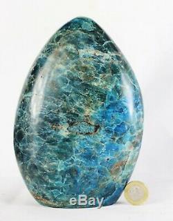 1 Large Apatite Crystal Freestanding Great Gift Home Decor Display Piece 2.78KG