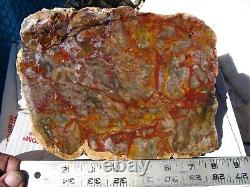 1 Large Piece Of Hidden Canyon Mossy Jasper, Rough, Cab, Lapidary, Specimen 10+lbs