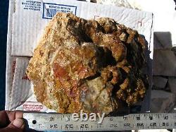 1 Large Piece Of Hidden Canyon Mossy Jasper, Rough, Cab, Lapidary, Specimen 10+lbs