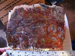 1 Large Piece Of Hidden Canyon Mossy Jasper, Rough, Cab, Lapidary, Specimen 17+lbs