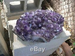 20lb Huge Amethyst Plate Or Cluster Dark Crystal A Center Piece Beauty
