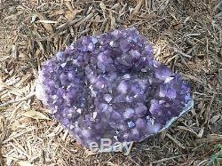 20lb Huge Amethyst Plate Or Cluster Dark Crystal A Center Piece Beauty