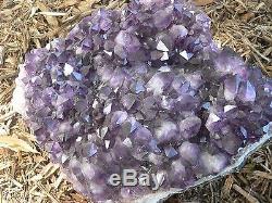 20lb Huge Amethyst Plate Or Cluster Dark Crystal A Center Piece Beauty