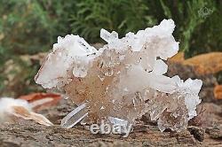 214 gm Lite Pink Samadhi Beautiful Quartz Rare Point healing Cluster Meditation