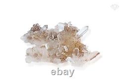 214 gm Lite Pink Samadhi Beautiful Quartz Rare Point healing Cluster Meditation