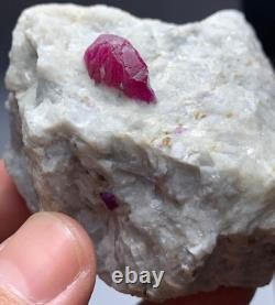 237grams A stunning piece of lustrous natural ruby specimen crystal on matrix