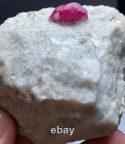 237grams A stunning piece of lustrous natural ruby specimen crystal on matrix