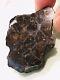 23.9g Nwa Pallasite End Piece. Huge Crystals