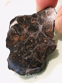 23.9g NWA Pallasite end piece. Huge Crystals