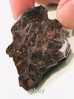 23.9g NWA Pallasite end piece. Huge Crystals
