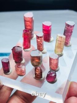 23 Grams, Gorgeous Colourful TOURMALINE CRYSTALS lot. 13 Pieces