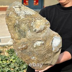 24.5LB Natural Amethyst geode quartz crystal Hand cut piece specimen Healing 146