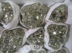 24 Piece Peruvian Pyrite Specimen Flat Huanzala Mine, Huanzala Peru