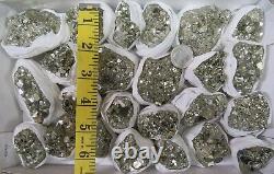 24 Piece Peruvian Pyrite Specimen Flat Huanzala Mine, Huanzala Peru