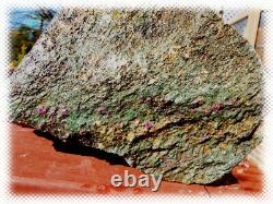 28lb Single Piece Red Ruby Crystals In Fuchsite Boulder