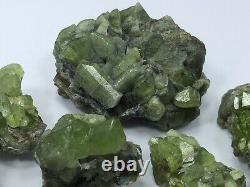 295 Gram Peridot Crystals Specimen lot From Pakistan 13 Pcs