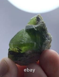 295 Gram Peridot Crystals Specimen lot From Pakistan 13 Pcs