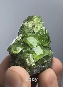 295 Gram Peridot Crystals Specimen lot From Pakistan 13 Pcs