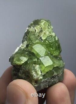 295 Gram Peridot Crystals Specimen lot From Pakistan 13 Pcs