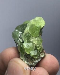 295 Gram Peridot Crystals Specimen lot From Pakistan 13 Pcs