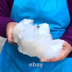 2Pieces 6.73LB Natural Clear Quartz Cluster Crystal Cluster Mineral Specimen 425