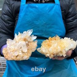 2 Pieces 4.9LB Natural Clear Quartz Crystal Cluster Mineral Specimen 2885