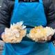 2 Pieces 4.9lb Natural Clear Quartz Crystal Cluster Mineral Specimen 2885
