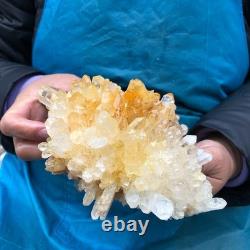 2 Pieces 4.9LB Natural Clear Quartz Crystal Cluster Mineral Specimen 2885