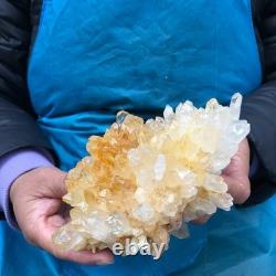 2 Pieces 4.9LB Natural Clear Quartz Crystal Cluster Mineral Specimen 2885