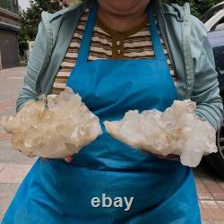 2 Pieces 5.96LB Natural Clear Quartz Crystal Cluster Mineral Specimen 1455