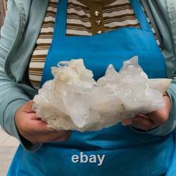 2 Pieces 5.96LB Natural Clear Quartz Crystal Cluster Mineral Specimen 1455