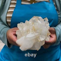 2 Pieces 5.96LB Natural Clear Quartz Crystal Cluster Mineral Specimen 1455