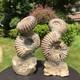 2 Pieces 6.18lb Natural Beautiful Ammonite Fossil Conch Crystal Specimen 1536