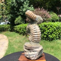 2 Pieces 6.18LB Natural Beautiful Ammonite Fossil Conch Crystal Specimen 1536
