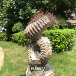 2 Pieces 6.18LB Natural Beautiful Ammonite Fossil Conch Crystal Specimen 1536