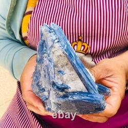 2 pieces 1960g Rare Blue Crystal Natural Kyanite Rough Gem mineral Specimen 1917