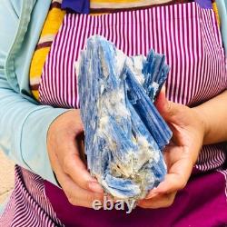 2 pieces 1960g Rare Blue Crystal Natural Kyanite Rough Gem mineral Specimen 1917