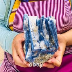 2 pieces 1960g Rare Blue Crystal Natural Kyanite Rough Gem mineral Specimen 1917