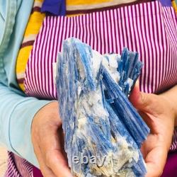 2 pieces 1960g Rare Blue Crystal Natural Kyanite Rough Gem mineral Specimen 1917