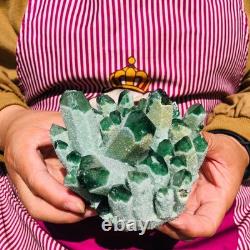 2 pieces 3.5LB Rare Twinkling Green Phantom Quartz Crystal Cluster Specimen 1822
