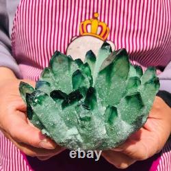 2 pieces 3.78LB Rare Twinkling Green Phantom Quartz Crystal Cluster Healing 706