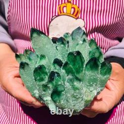 2 pieces 3.78LB Rare Twinkling Green Phantom Quartz Crystal Cluster Healing 706