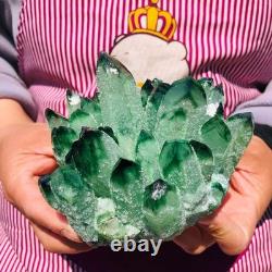 2 pieces 3.78LB Rare Twinkling Green Phantom Quartz Crystal Cluster Healing 706
