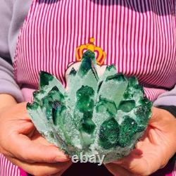2 pieces 3.78LB Rare Twinkling Green Phantom Quartz Crystal Cluster Healing 706