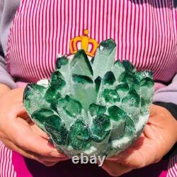 2 pieces 3.78LB Rare Twinkling Green Phantom Quartz Crystal Cluster Healing 706