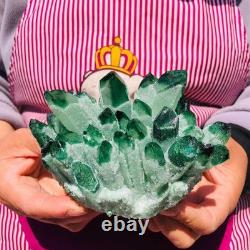 2 pieces 3.78LB Rare Twinkling Green Phantom Quartz Crystal Cluster Healing 706