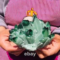 2 pieces 3.78LB Rare Twinkling Green Phantom Quartz Crystal Cluster Healing 706